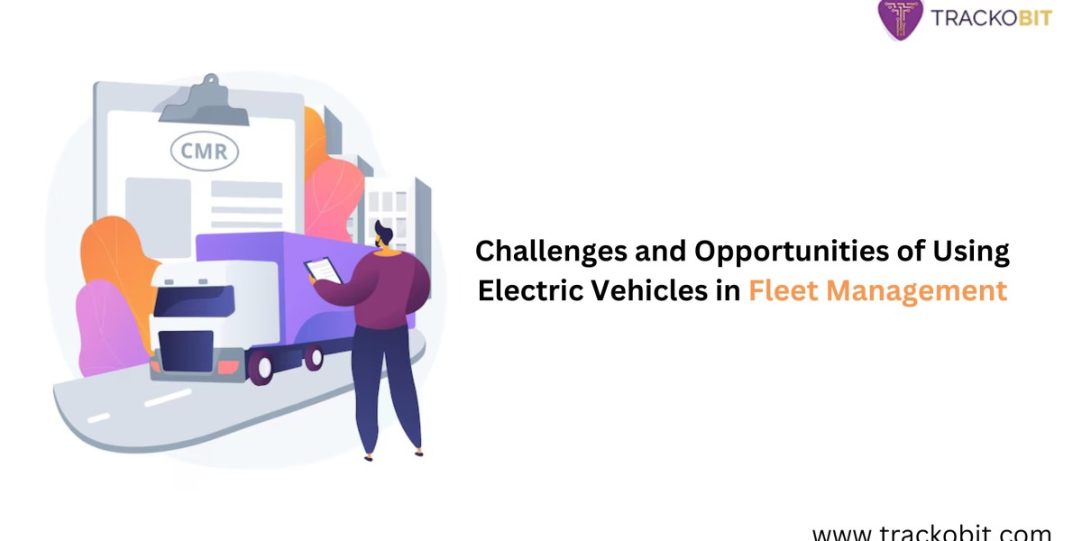 Electric Vehicles (EVs) in Fleet Management: Challenges and Opportunities