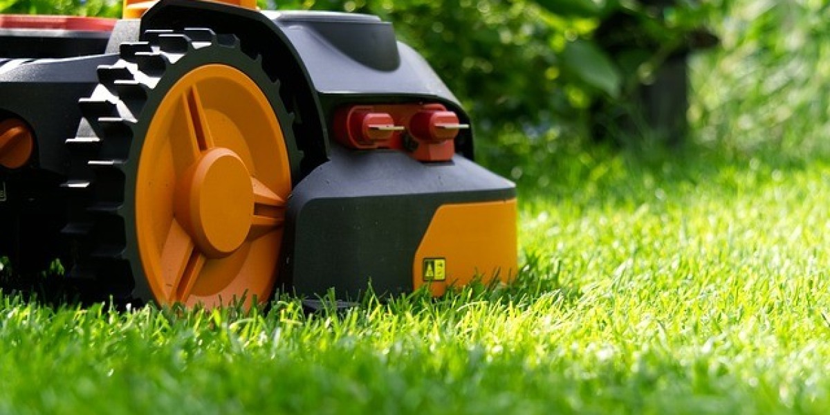 Best Lawn Care Service: Top Lawn Treatment Options for a Healthy Yard