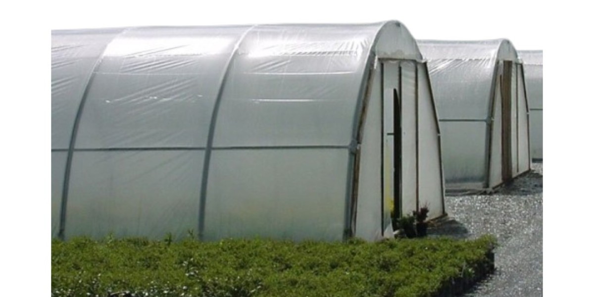 Greenhouse Film: Boosting Growth & Yield