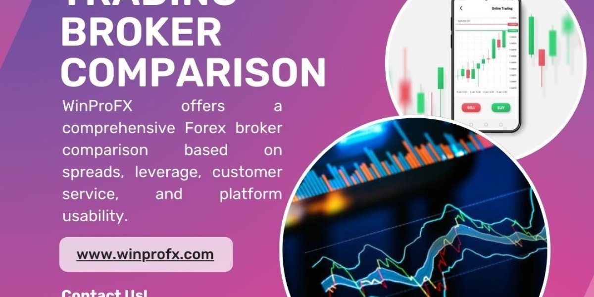 WinProFx vs. Other Forex Brokers: Which Platform is Best for Beginners?