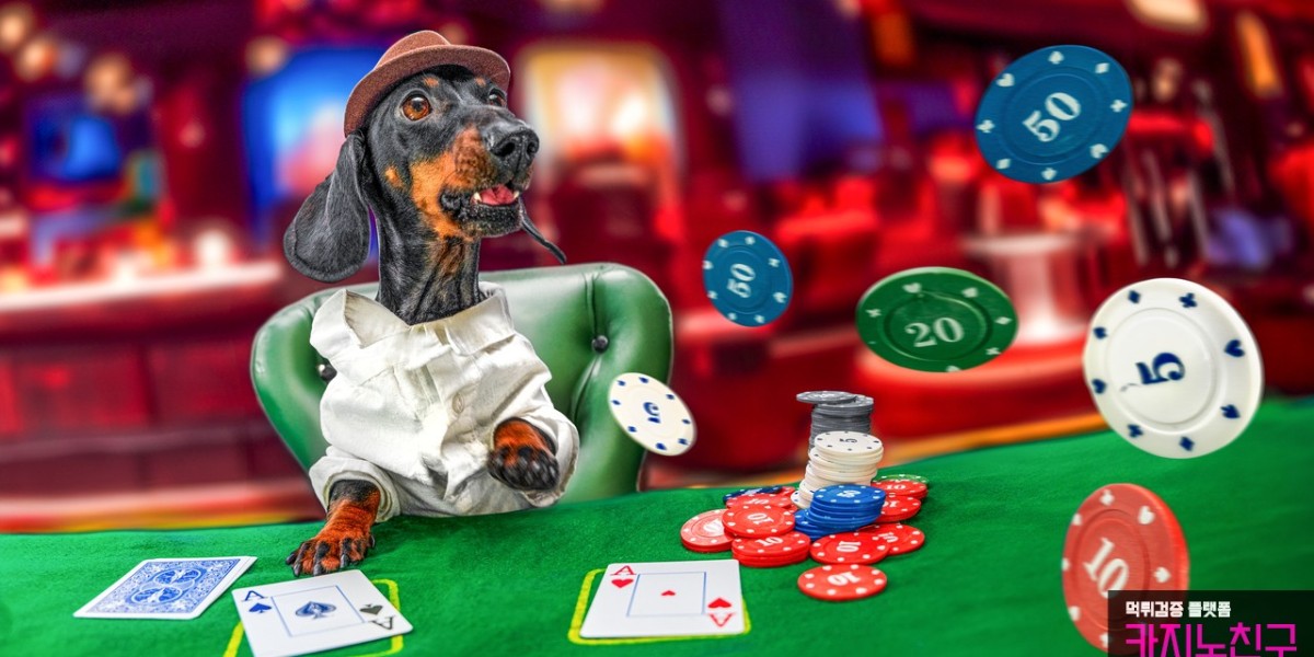 Discovering Evolution Casino: The Trusted Scam Verification Platform, Casino79