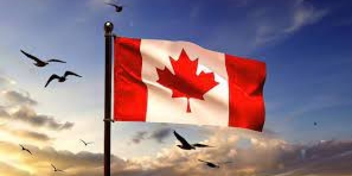 Certified Canadian Immigration Consultant In Dubai