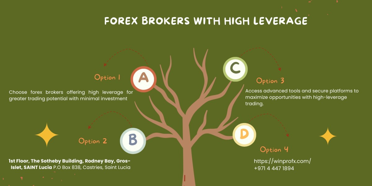 Which forex brokers offer the highest leverage to retail traders?