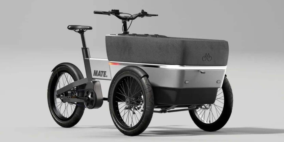 Electric Cargo Bike Manufacturing Plant Project Report | Raw Material Requirements and Costs