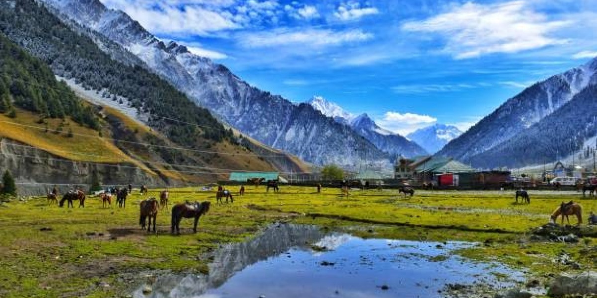 Jammu to Pahalgam Cab