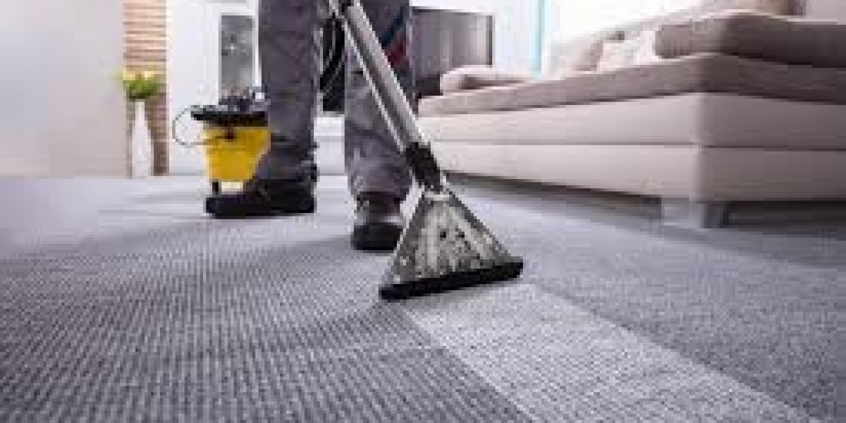 Professional Carpet Cleaning: Key to Preserving Home Elegance