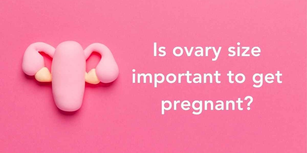 Normal Ovary Size and Its Impact on Health, Reproduction, and IVF Treatment