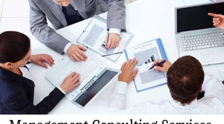 Revolutionizing Healthcare with Expert Management Consulting Services