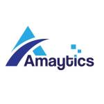 Amaytics Digital Services