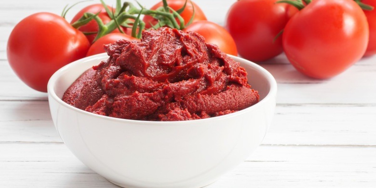 In-depth Analysis: Tomato Paste Manufacturing Plant Report 2025 - Requirements and Setup Cost