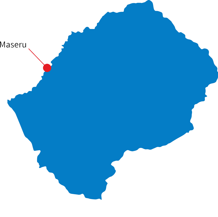 Lesotho Import Data, Lesotho Customs Data, Lesotho Shipments Data