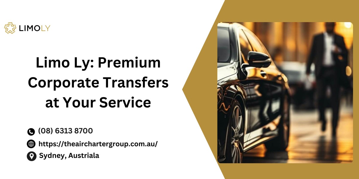 Comfortable Airport Transfers with Professional Service