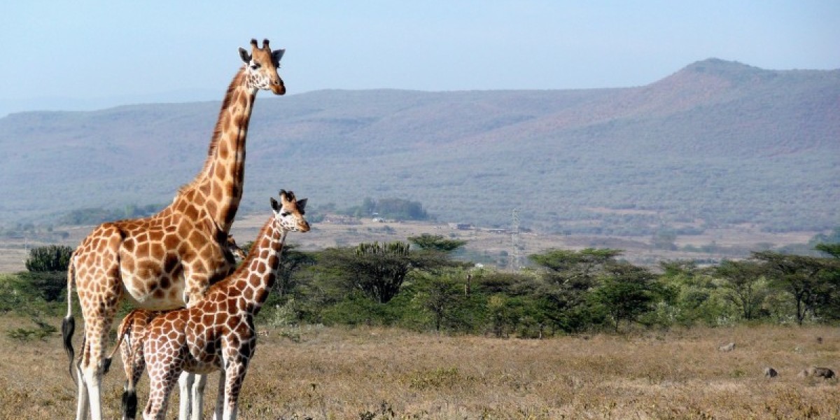 Top 10 Offbeat Destinations in Kenya for Nature Lovers and Adventure Seekers