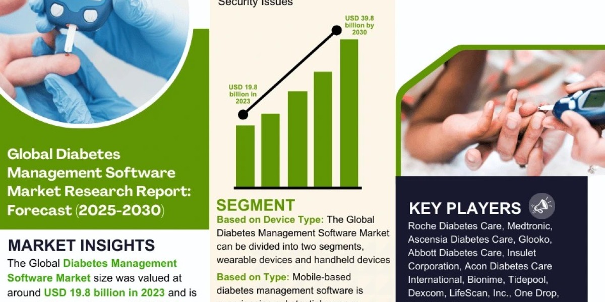 Global Diabetes Management Software Market Comprehensive Analysis and Forecast 2025 to 2030