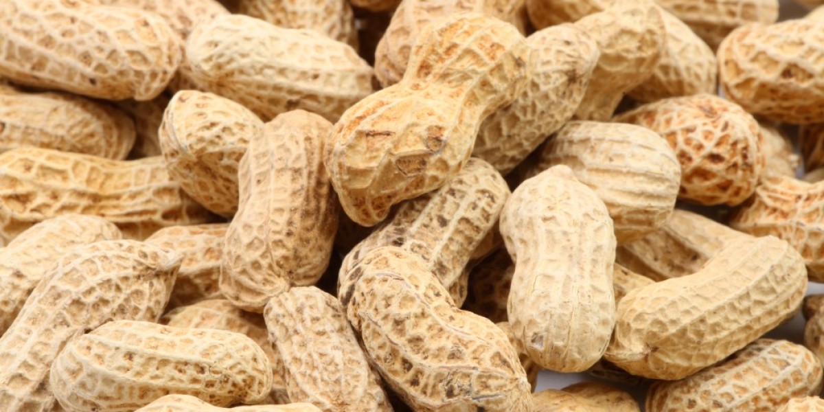 How to Stay Updated on Groundnut Market Rates in India?